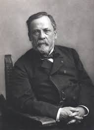 Louis Pasteur - Vikipedi